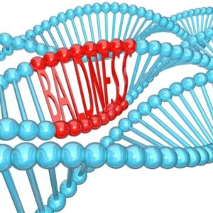 baldness gene