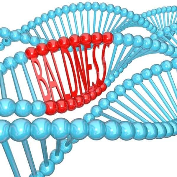 baldness gene