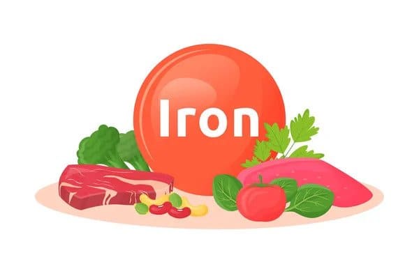 iron deficiency and hair loss